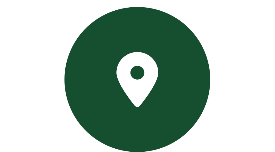 LOCATION ICON